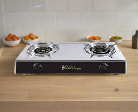 Stainless Steel Gas Stove Double Burner