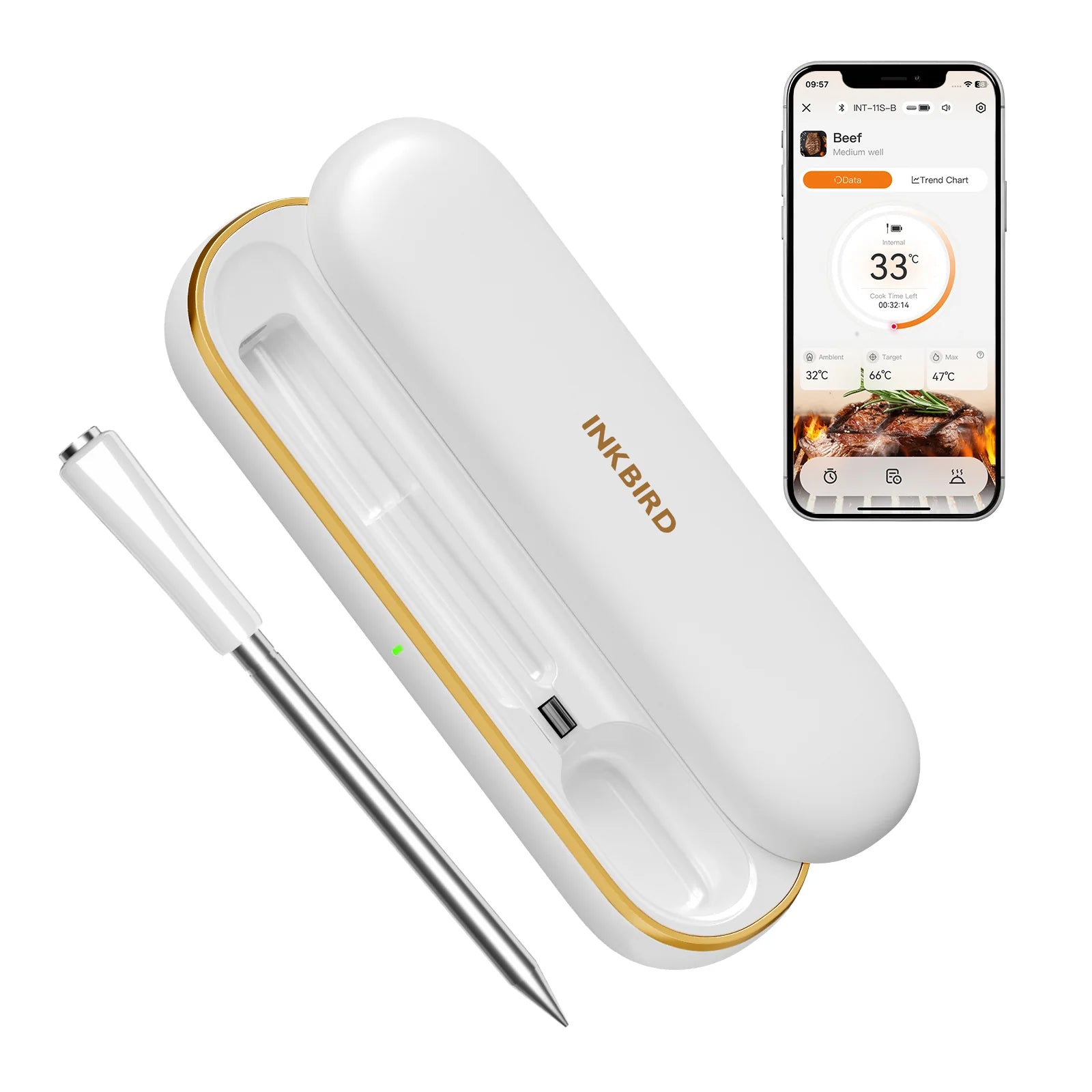 INKBIRD INT 11S B Bluetooth meat thermometer with wireless probe, charging case and smartphone app