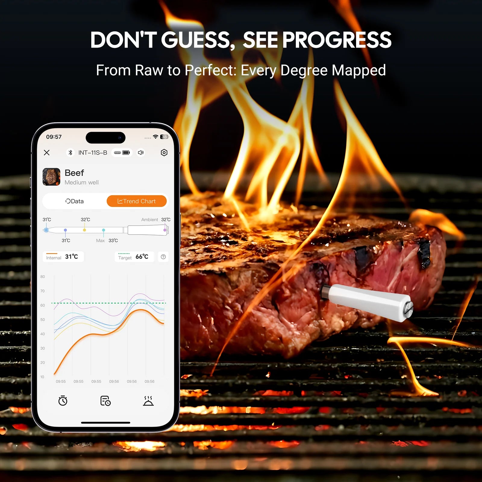 INKBIRD INT 11S B app displaying real time BBQ cooking progress and meat temperature graph