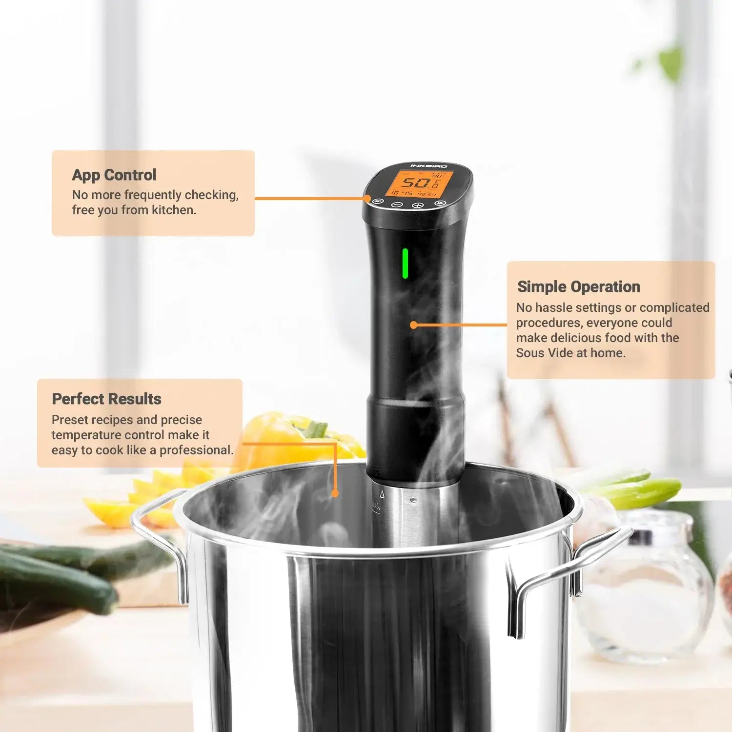 Inkbird sous vide immersion circulator in stainless steel pot