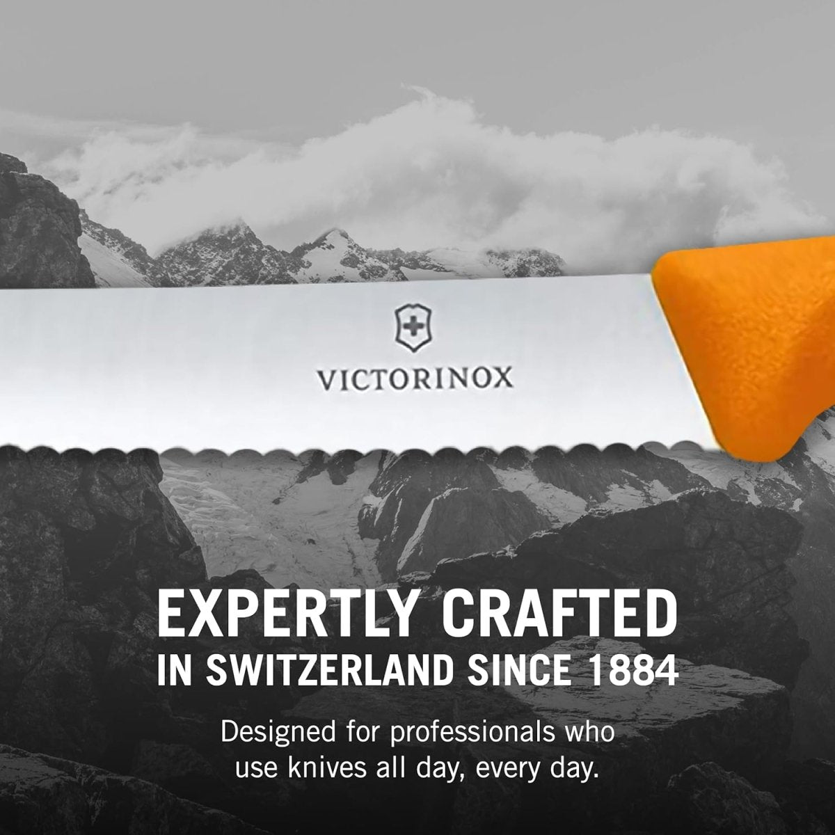 Victorinox Swiss Classic Tomato and Table Multi Colour Knife Set - Sydney BBQs and Rotisseries